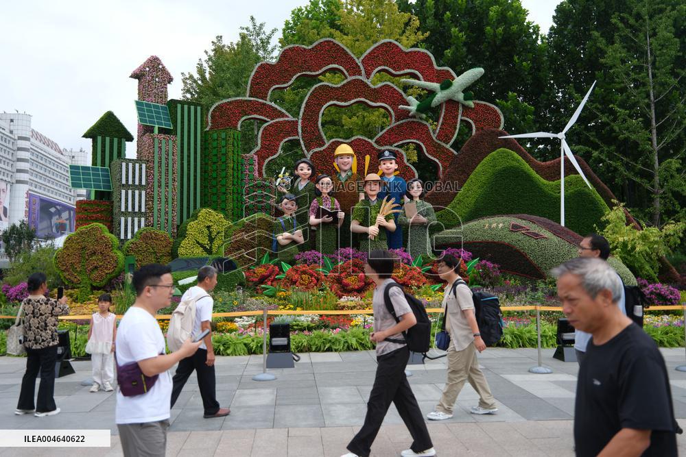 Theme Flower Bed in Beijing
