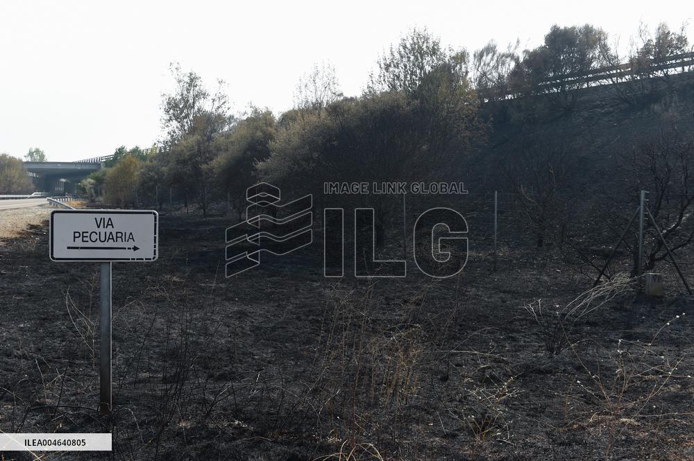 Wildfires in Caceres - Spain