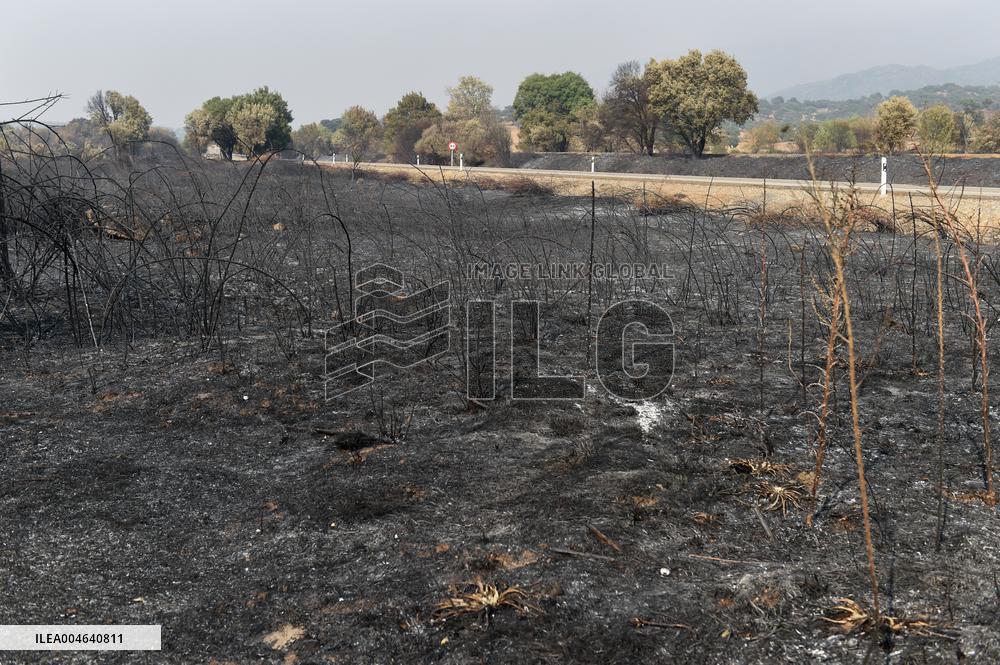 Wildfires in Caceres - Spain