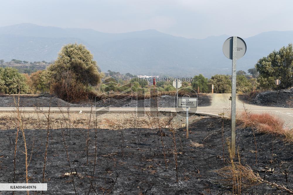 Spain Gripped by Violent Wildfires