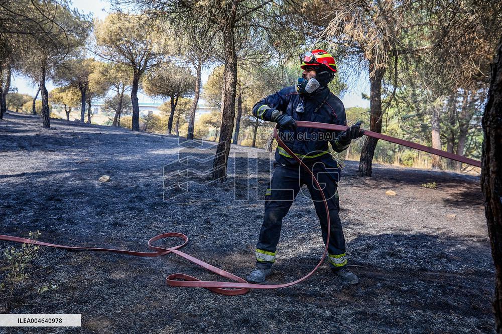 Spain Gripped by Violent Wildfires