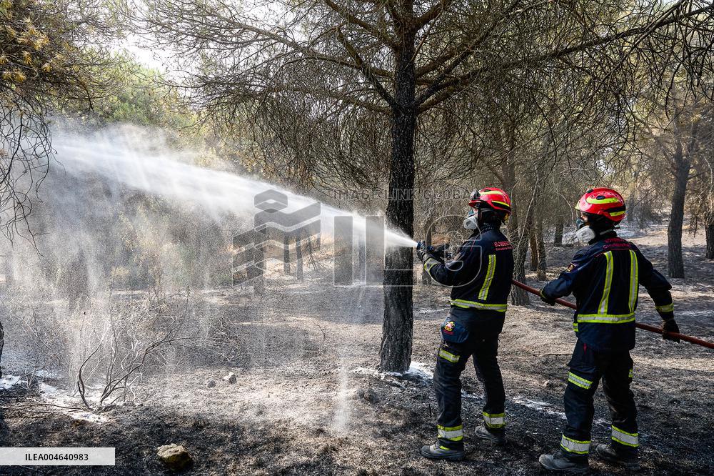 Spain Gripped by Violent Wildfires