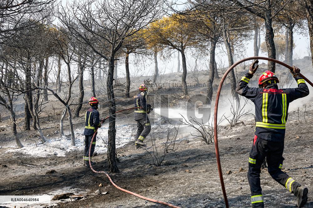 Spain Gripped by Violent Wildfires