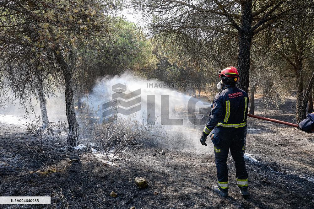 Spain Gripped by Violent Wildfires