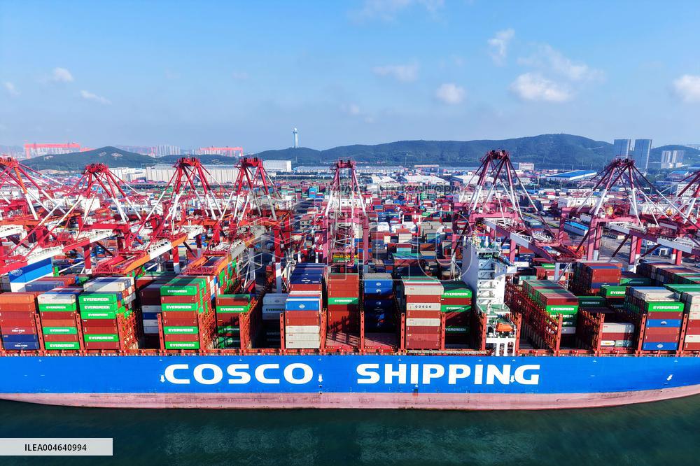Container Shipping in Qingdao Port