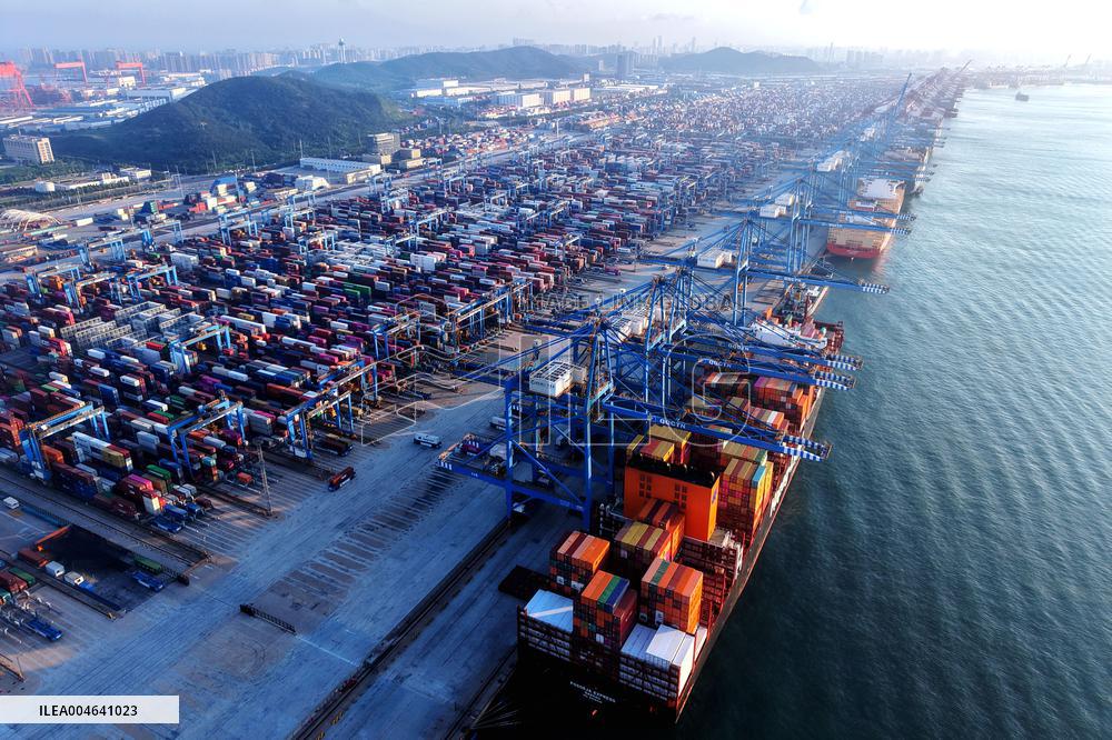 Container Shipping in Qingdao Port