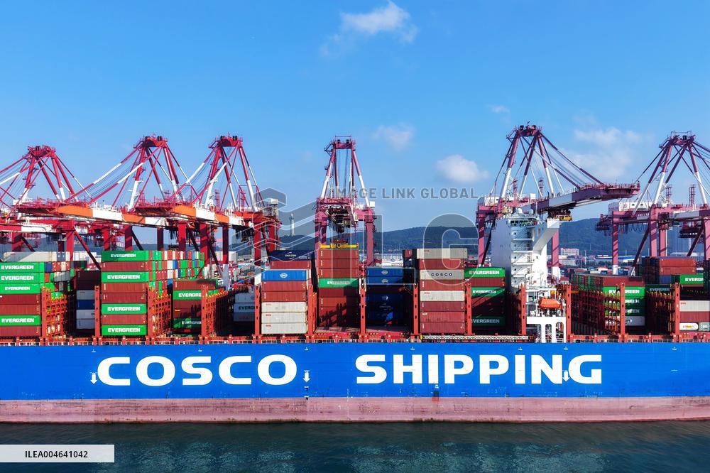 Container Shipping in Qingdao Port
