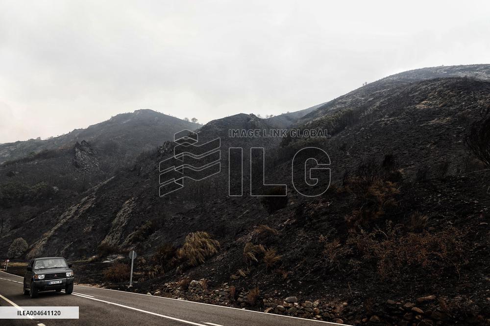 Spain Gripped by Violent Wildfires