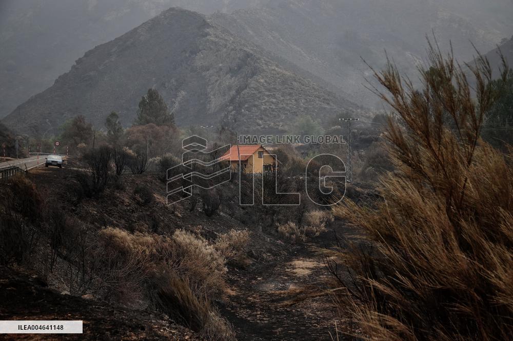 Spain Gripped by Violent Wildfires