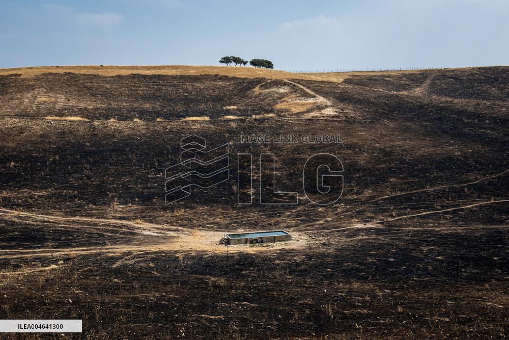 Spain Gripped by Violent Wildfires