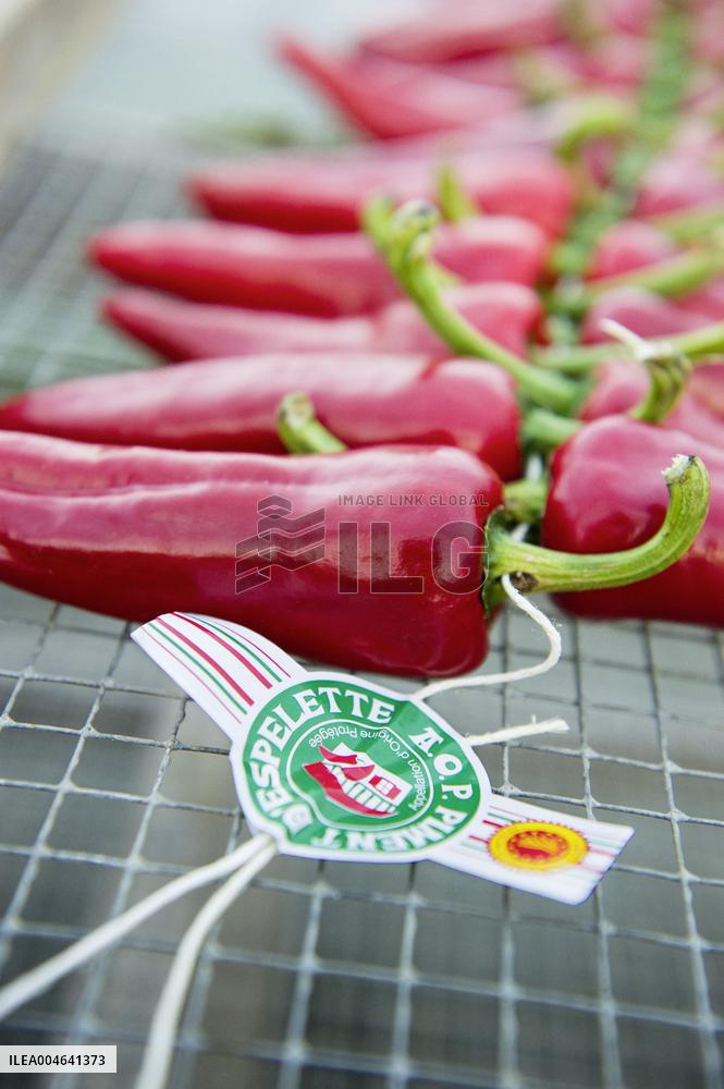 Illustration - Pays-Basque