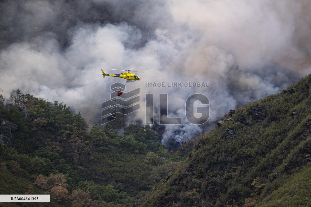 Spain Gripped by Violent Wildfires