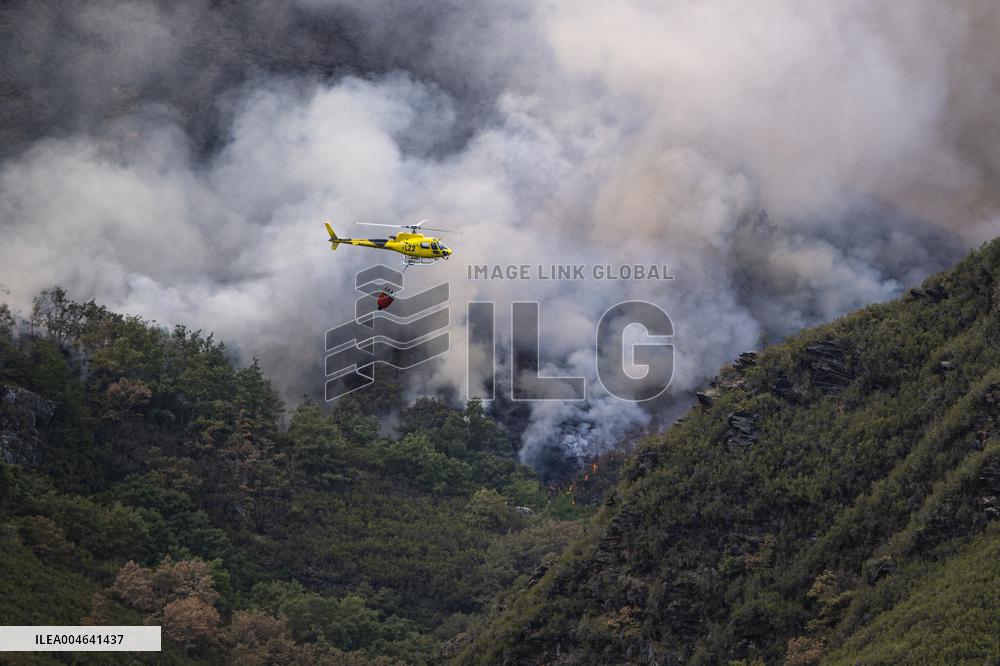 Spain Gripped by Violent Wildfires
