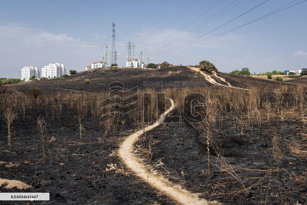 Spain Gripped by Violent Wildfires