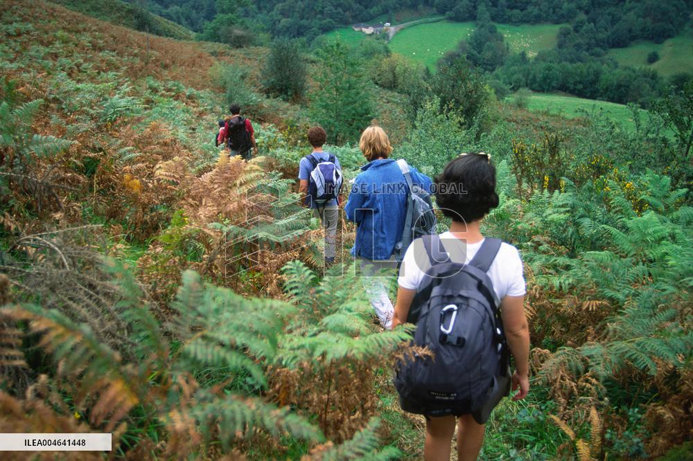 Illustration - Pays-Basque