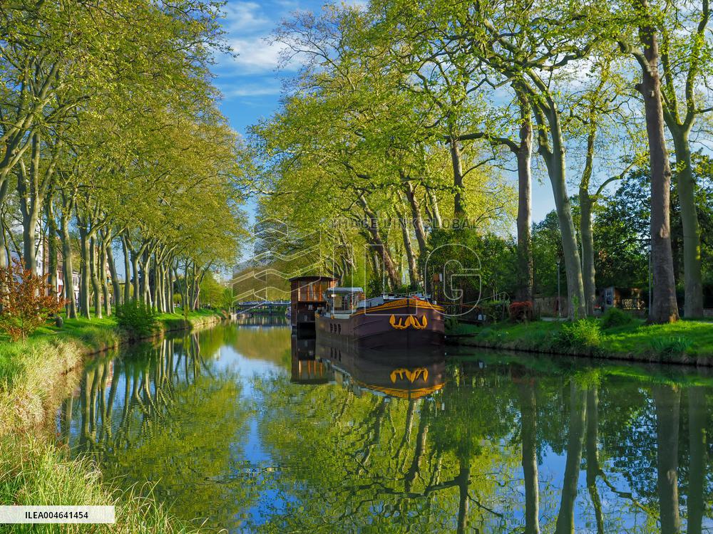 Illustration - Toulouse