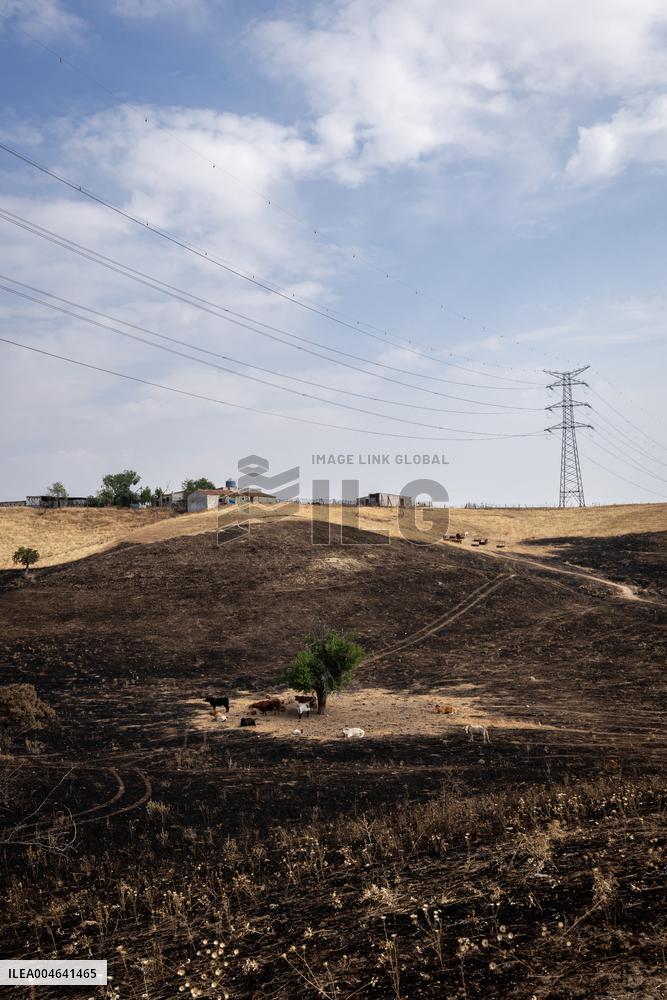 Spain Gripped by Violent Wildfires