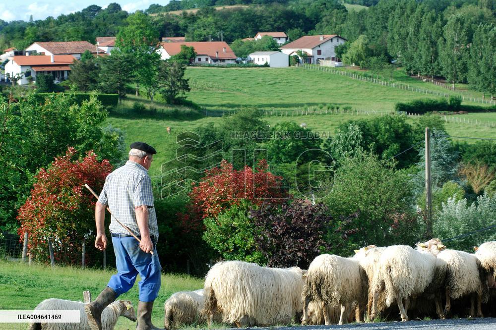 Illustration - Pays-Basque