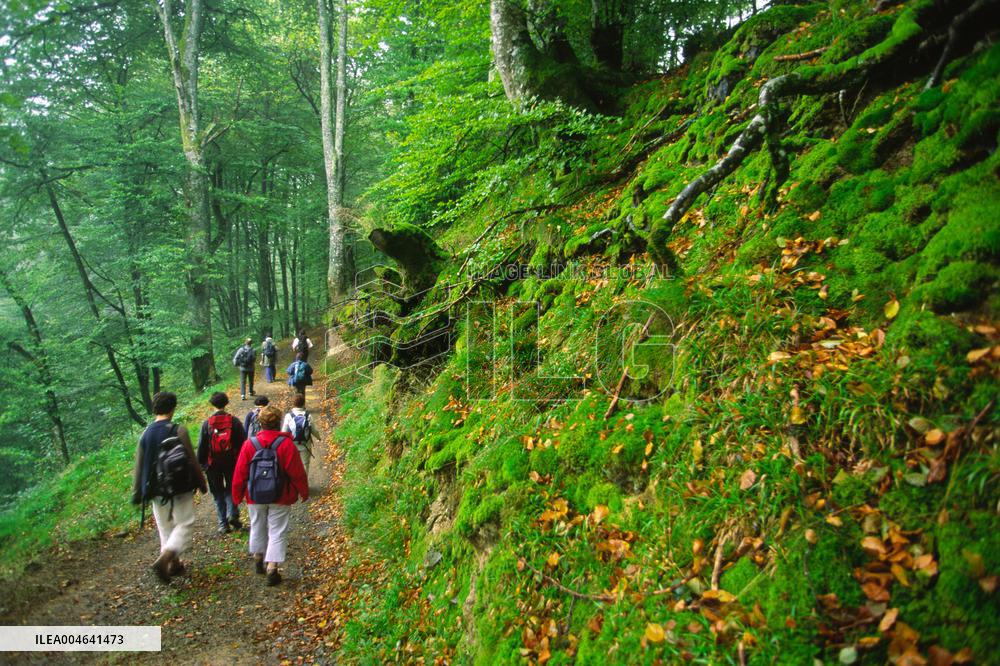 Illustration - Pays-Basque