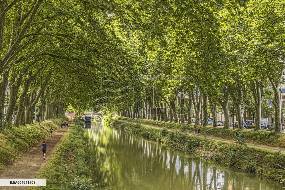 Illustration - Toulouse