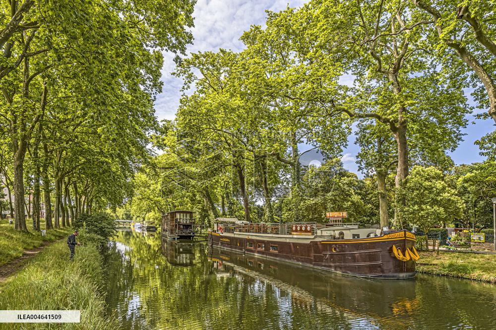 Illustration - Toulouse