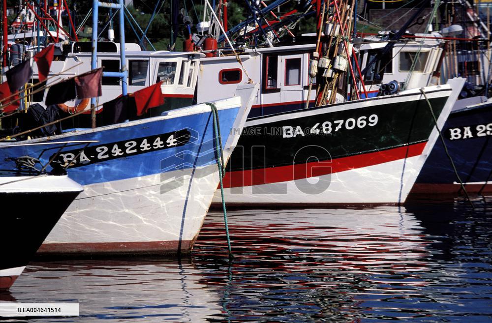 Illustration - Pays-Basque