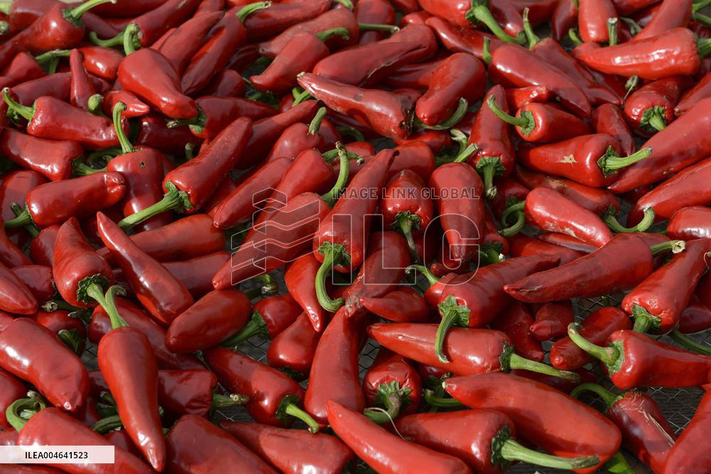 Illustration - Pays-Basque