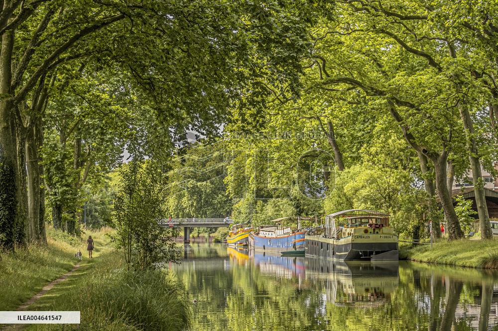 Illustration - Toulouse