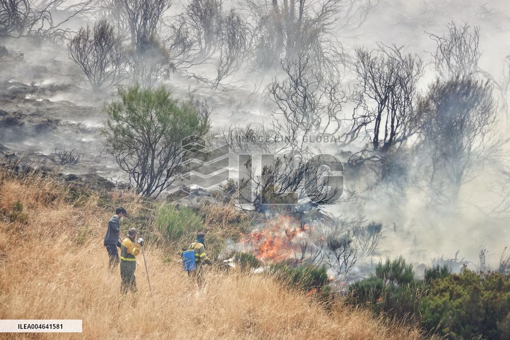 Spain Gripped by Violent Wildfires