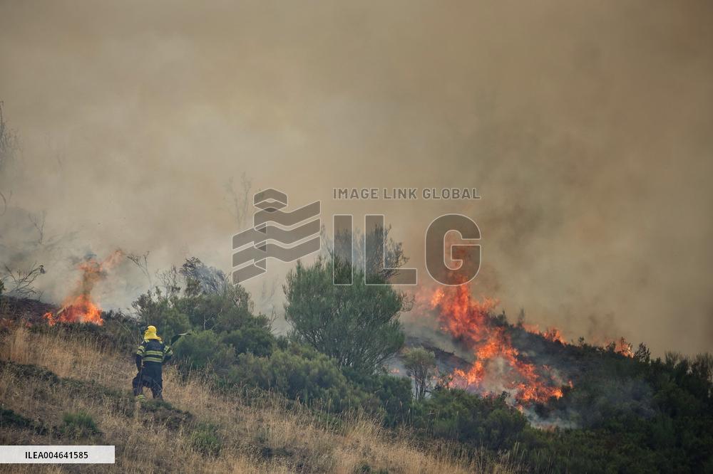 Spain Gripped by Violent Wildfires