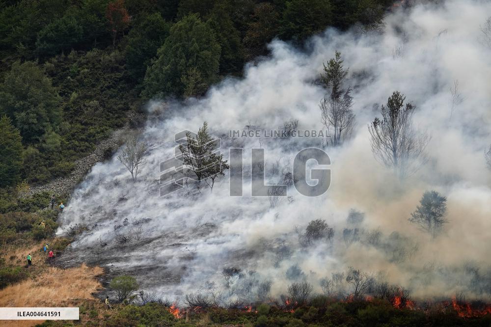 Spain Gripped by Violent Wildfires