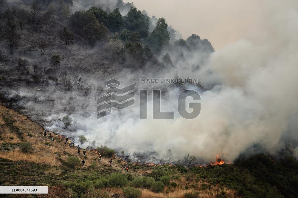 Spain Gripped by Violent Wildfires