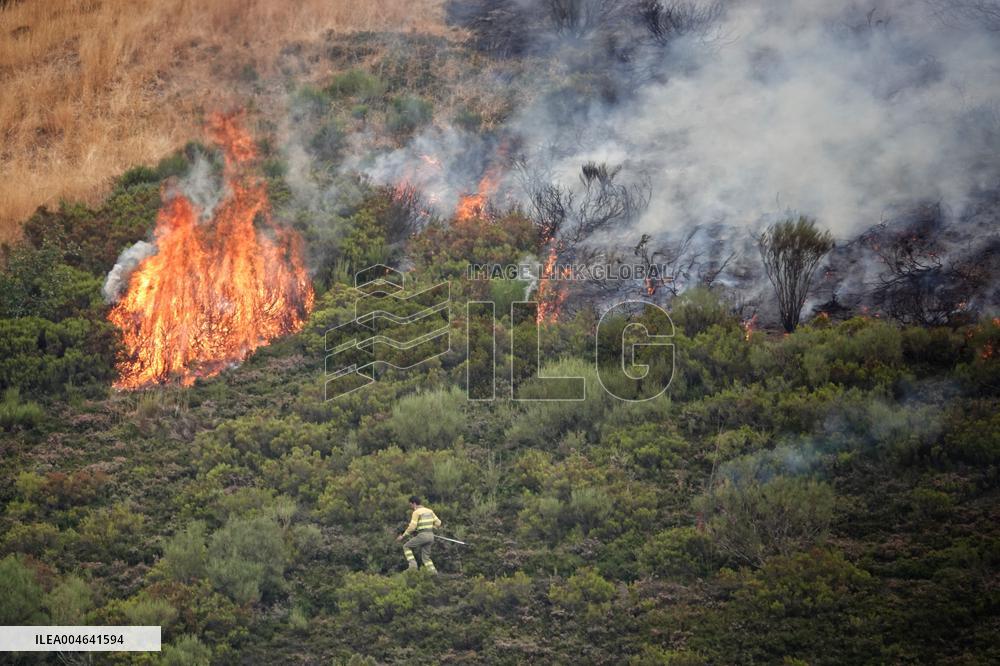 Spain Gripped by Violent Wildfires