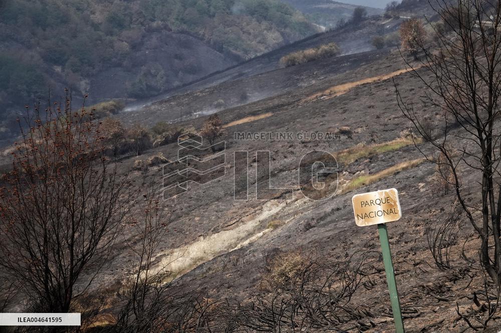 Spain Gripped by Violent Wildfires