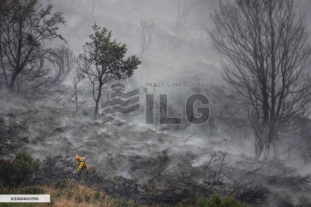 Spain Gripped by Violent Wildfires