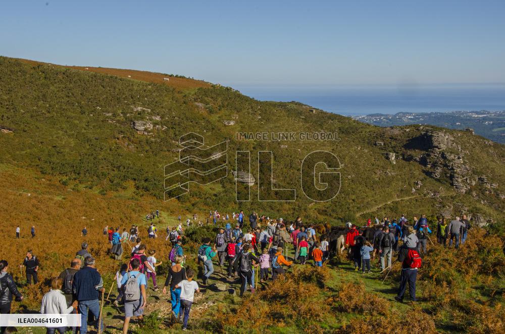 Illustration - Pays-Basque