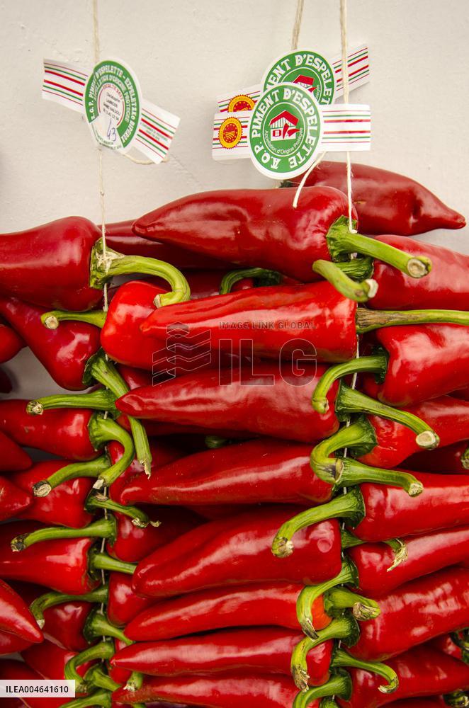 Illustration - Pays-Basque