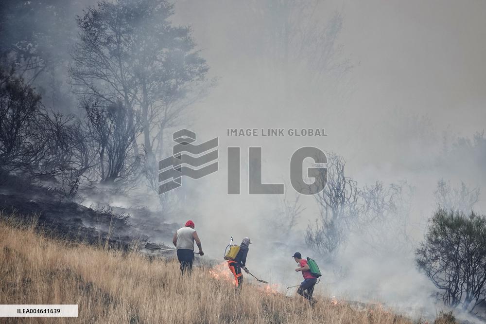 Spain Gripped by Violent Wildfires