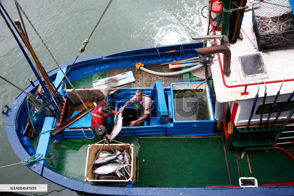 Illustration - Pays-Basque