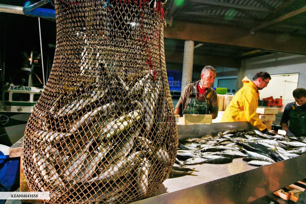 Illustration - Pays-Basque