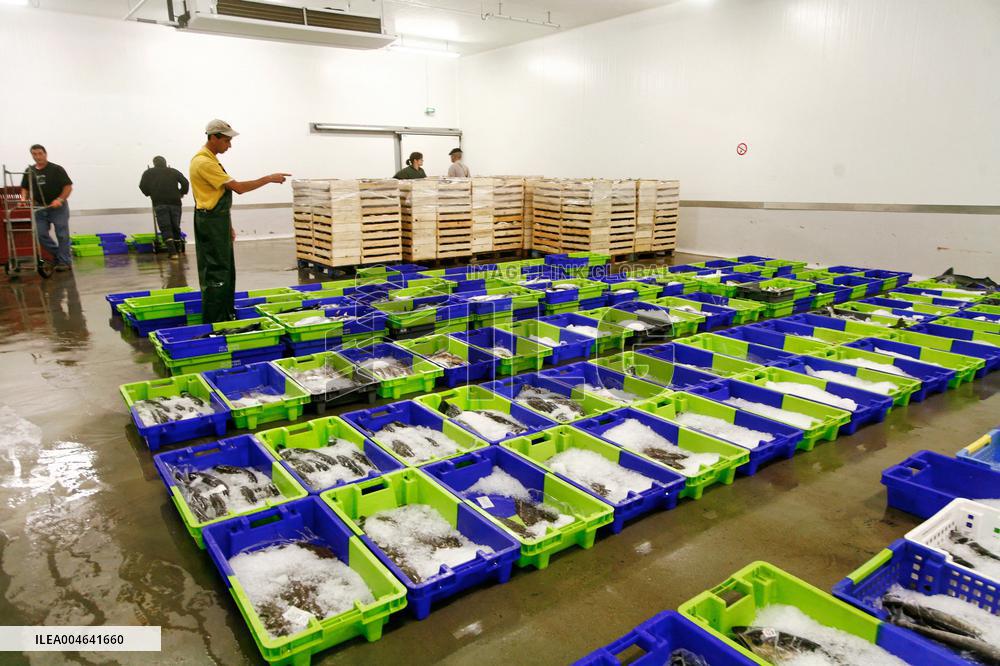 Illustration - Pays-Basque