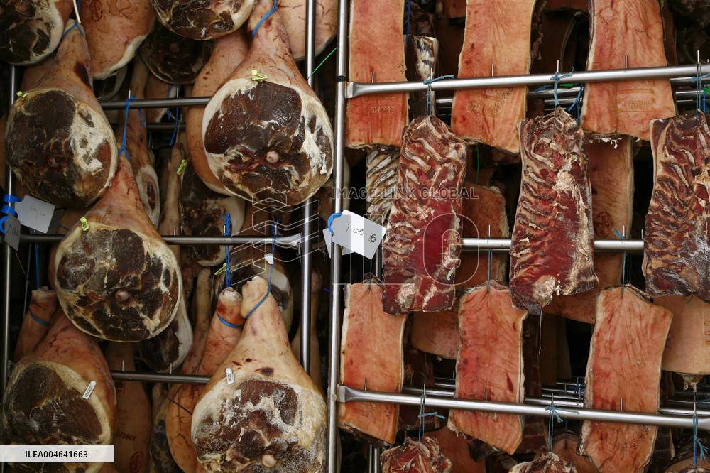 Illustration - Pays-Basque