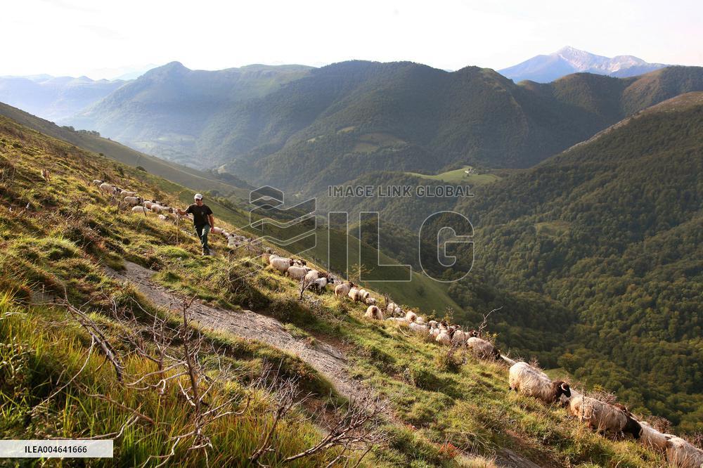 Illustration - Pays-Basque