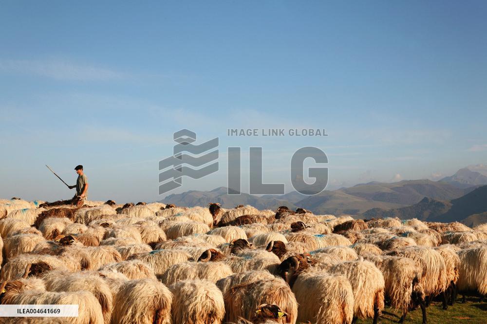 Illustration - Pays-Basque