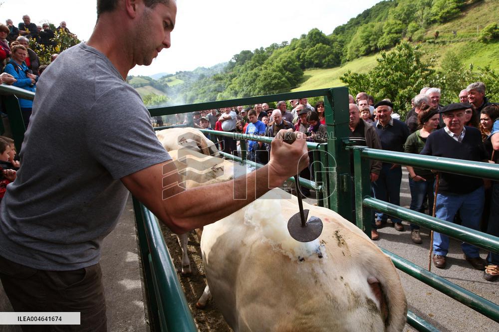 Illustration - Pays-Basque