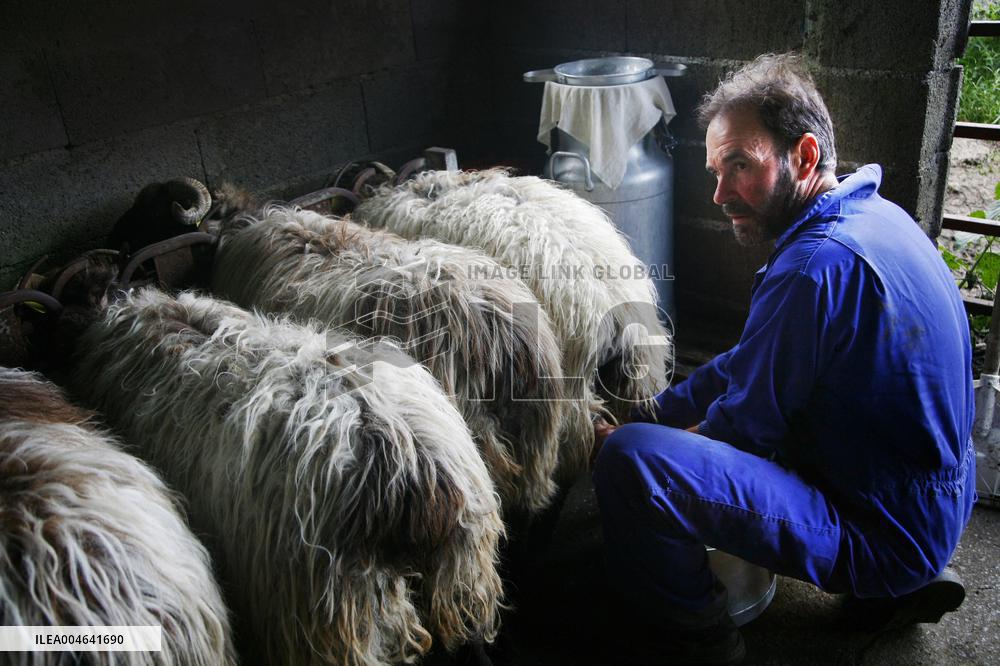 Illustration - Pays-Basque