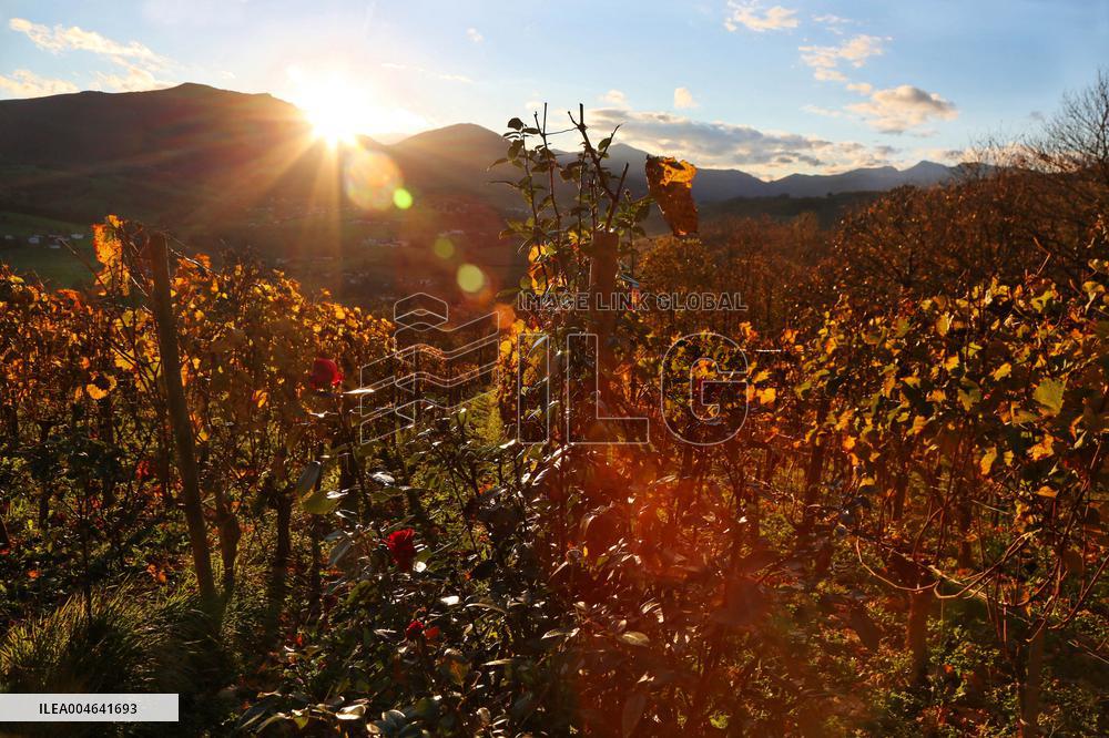 Illustration - Pays-Basque