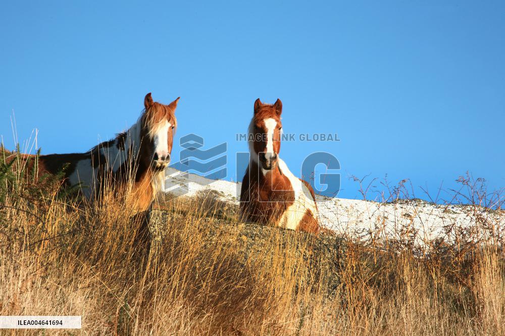 Illustration - Pays-Basque