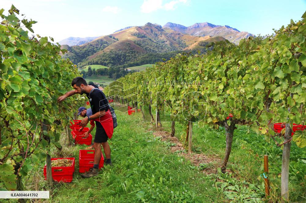 Illustration - Pays-Basque