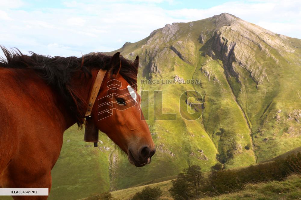 Illustration - Pays-Basque